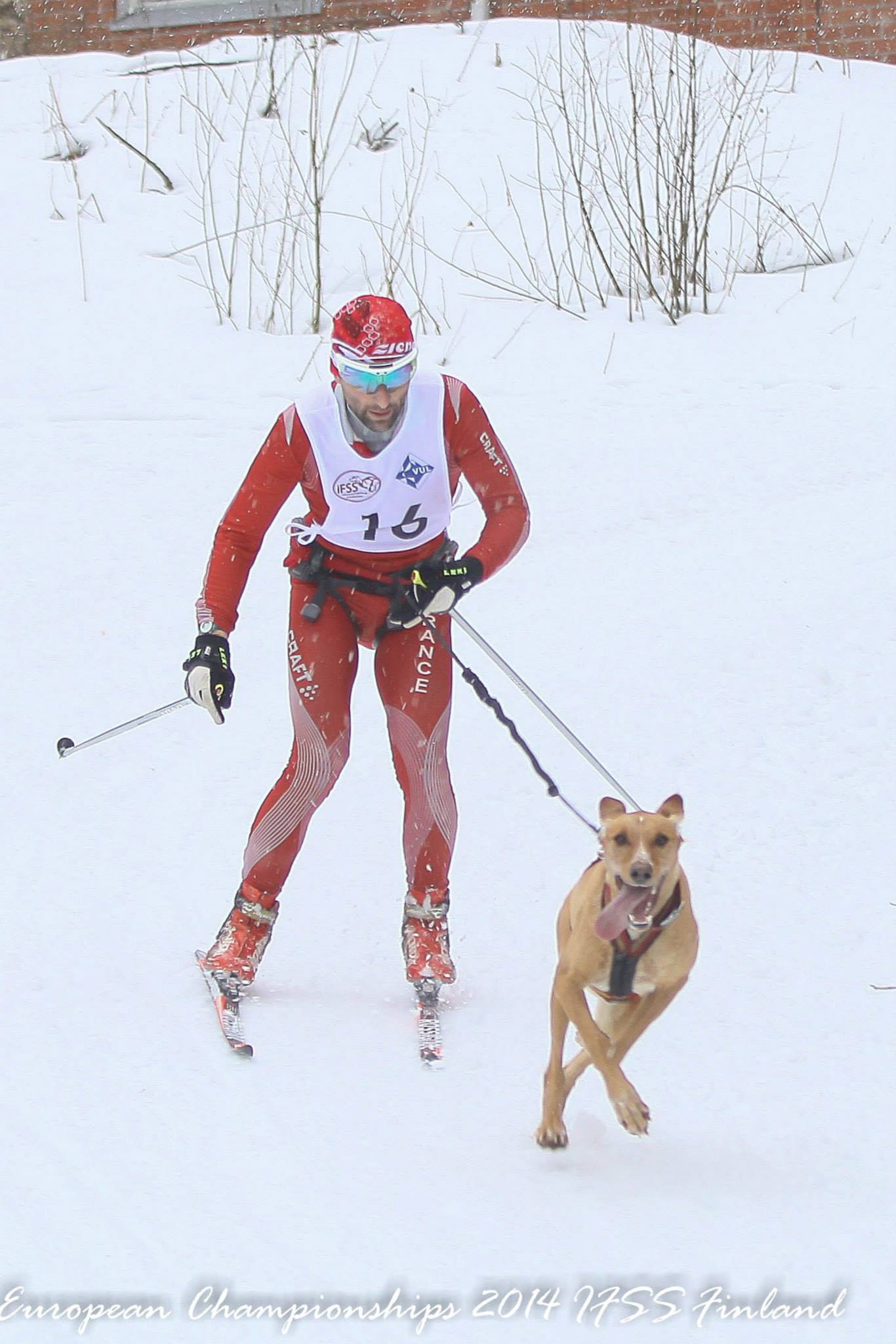Ski joëring canin Kriek-yann-2